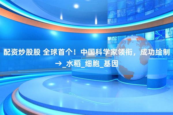 配资炒股股 全球首个！中国科学家领衔，成功绘制→_水稻_细胞_基因